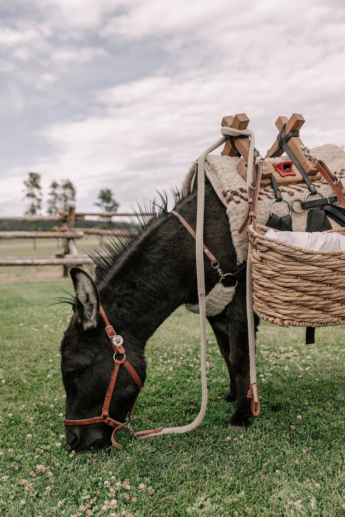 snake-river-ranch-wedding_2631