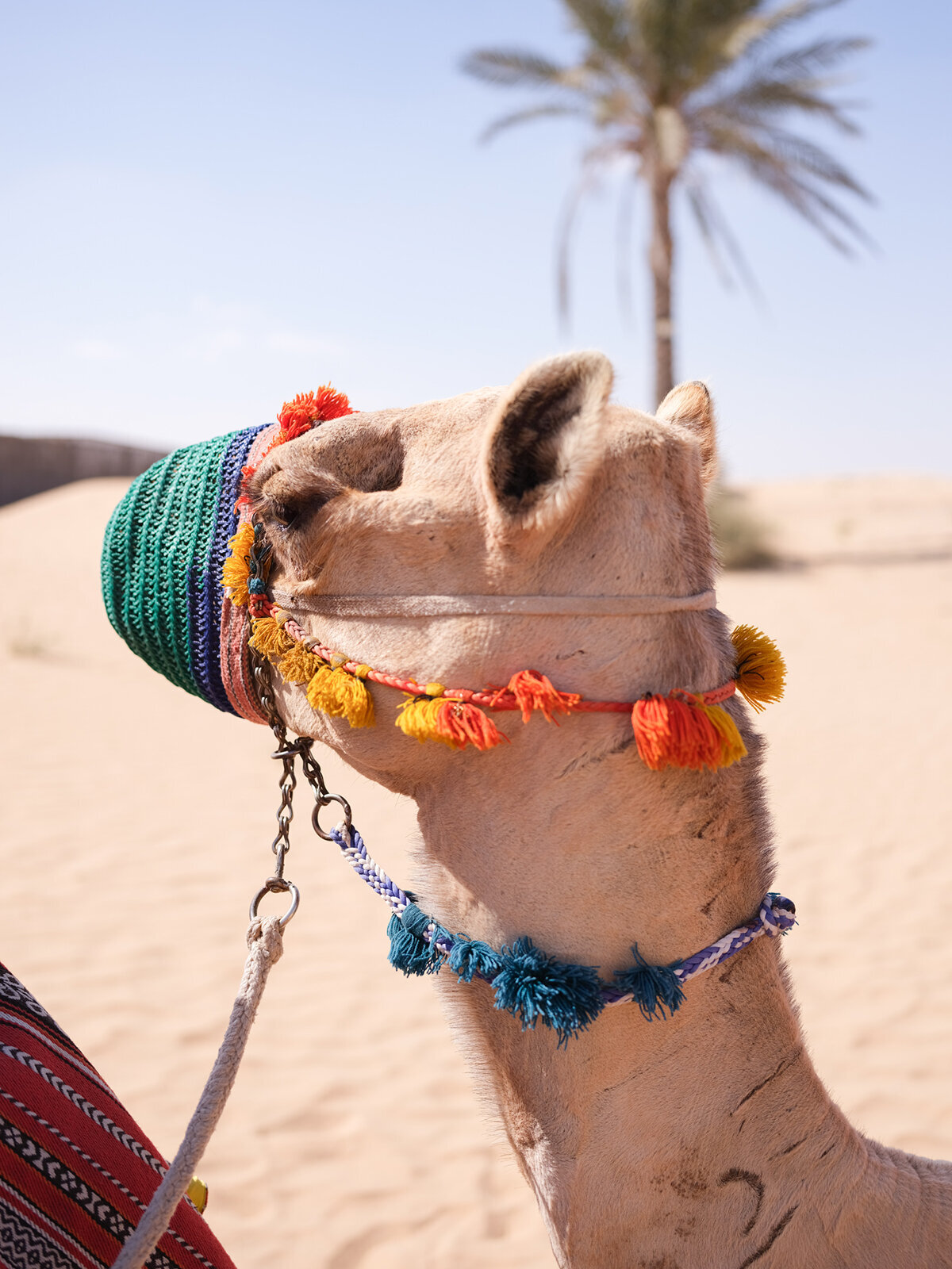 Michelle Norwood Living - Luxury Travel Inspiration - Dubai - elisabricker-5434
