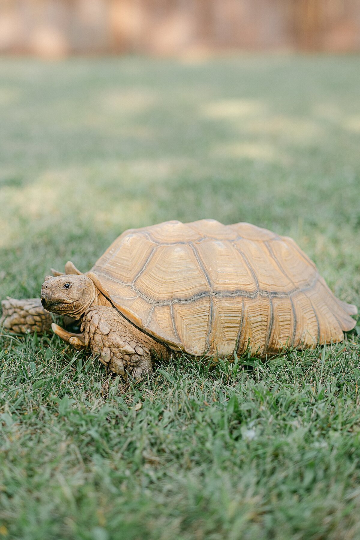 Alison Mae Photography_2235