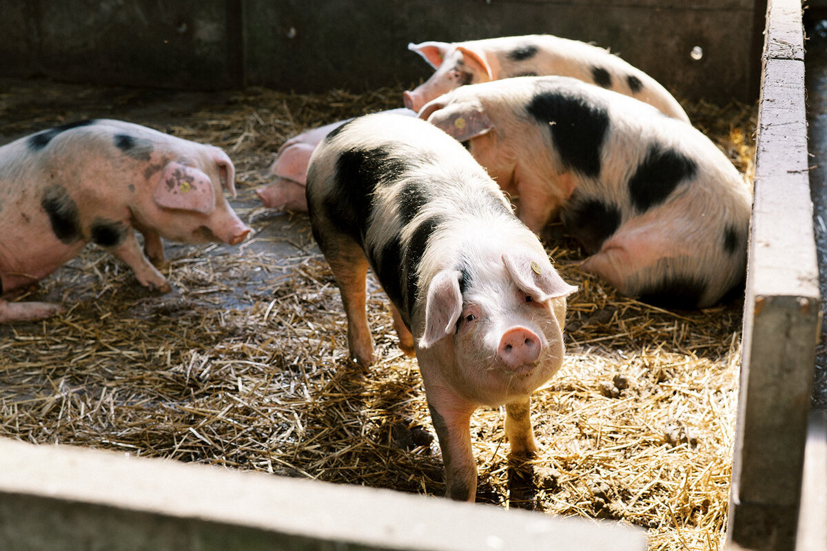 FotostudioFlora_Sengersbroek-30