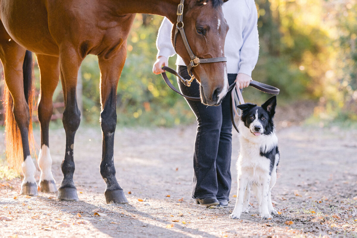 equestrian-photographer-saratoga-ny-147