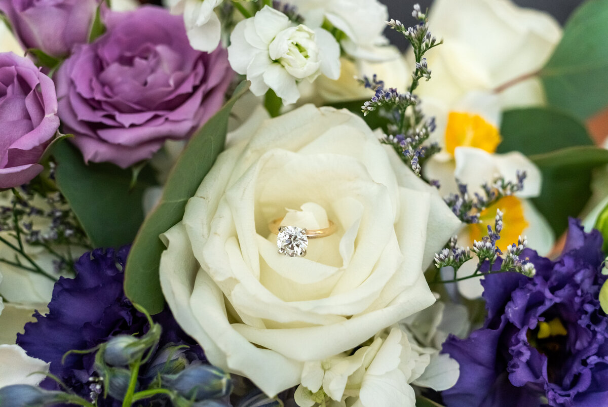 Buffalo NY and Rochester NY and WNY Wedding Photographer Finger Lakes region Wedding Photographer Buffalo Launch Club