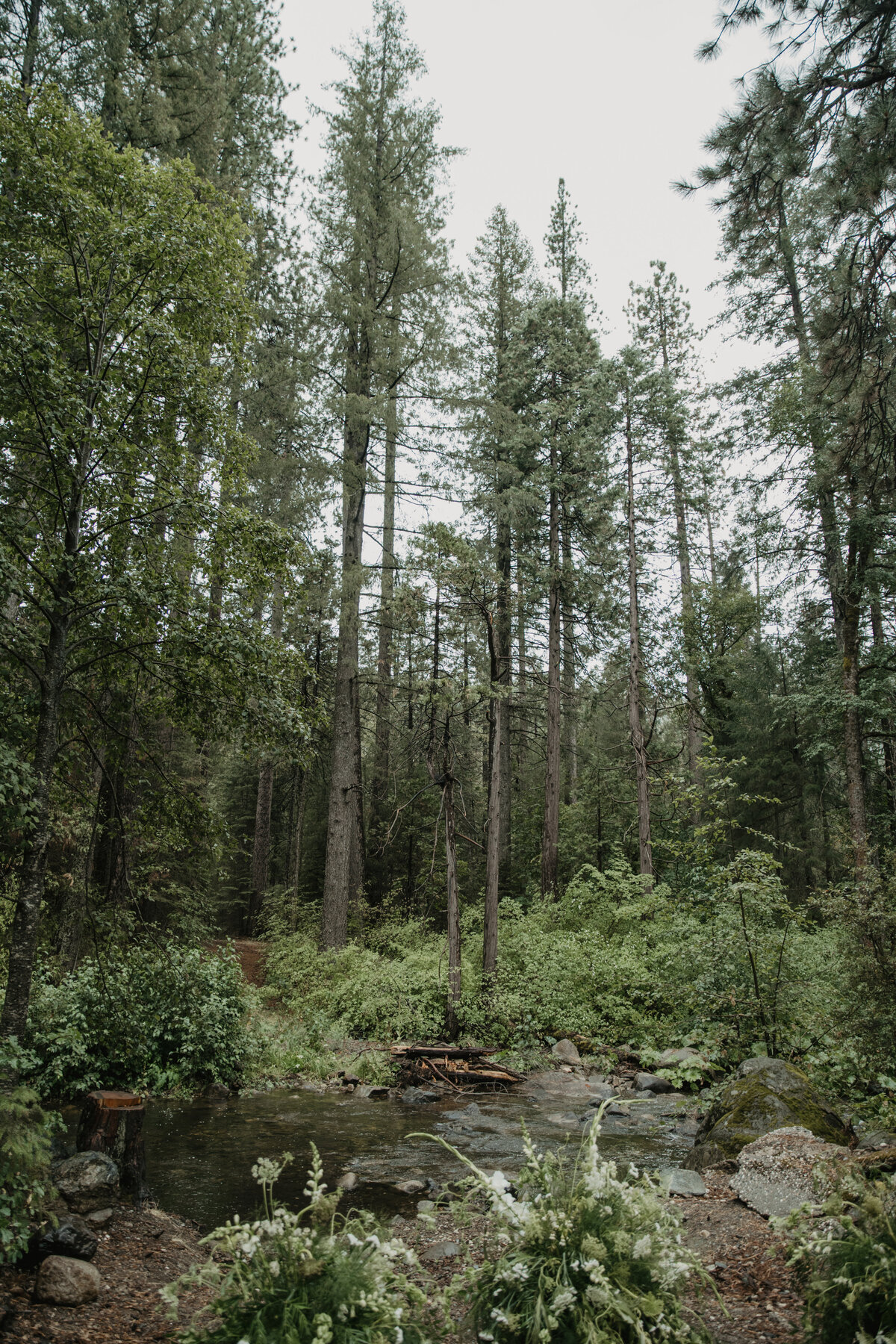 MountainTimePhotography-883