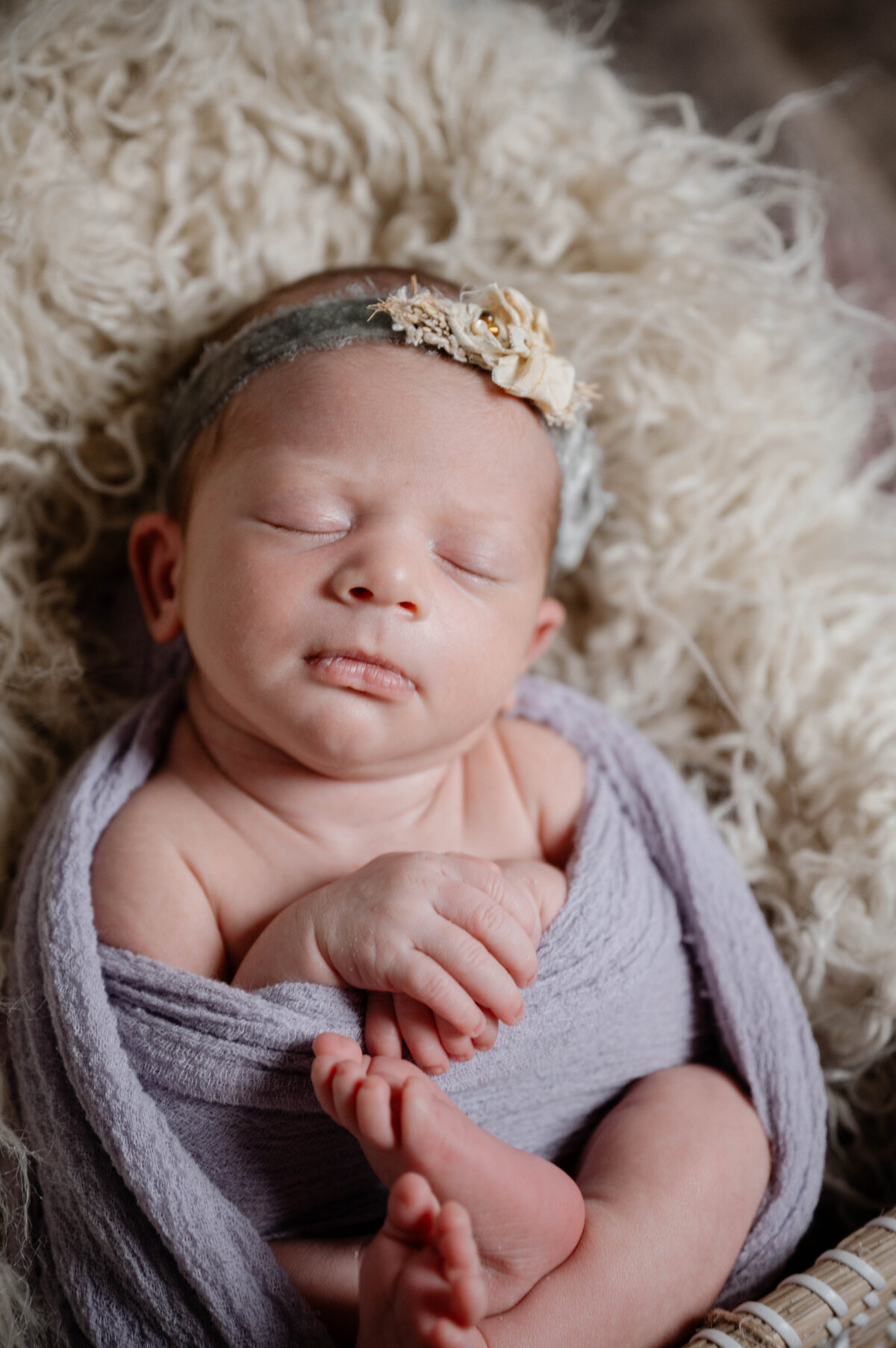 Taylor Elizabeth Photography Weddings and Lifetyle Photographer in Indiana Maternity + Family Photo 22