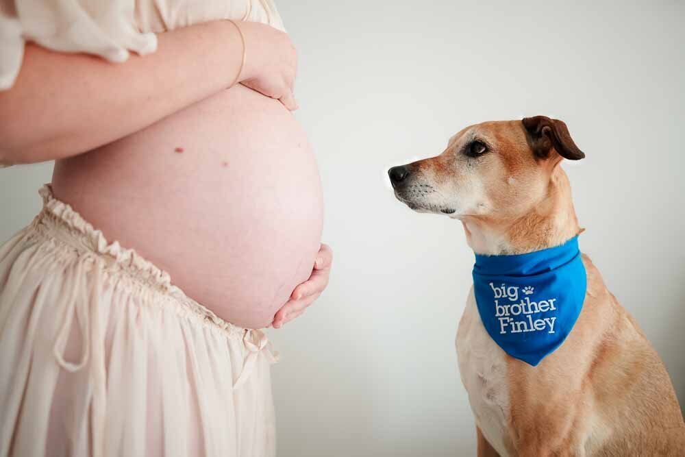 Elizabeth Priniski Madison Maternity Photographer Whitney-7