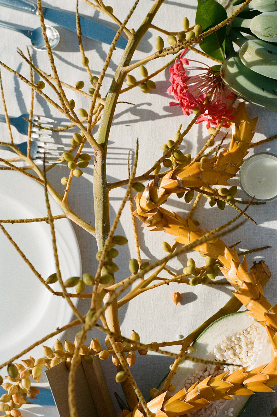 Vivienne_Patrick_Turtle_Bay_Wedding_SBerard_Photography-32