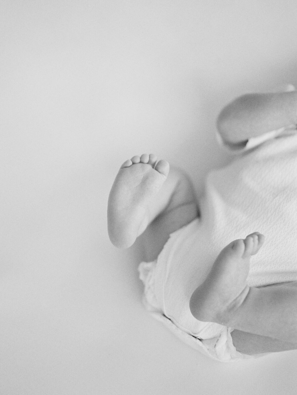 northern virginia newborn photography studio film black and white photo