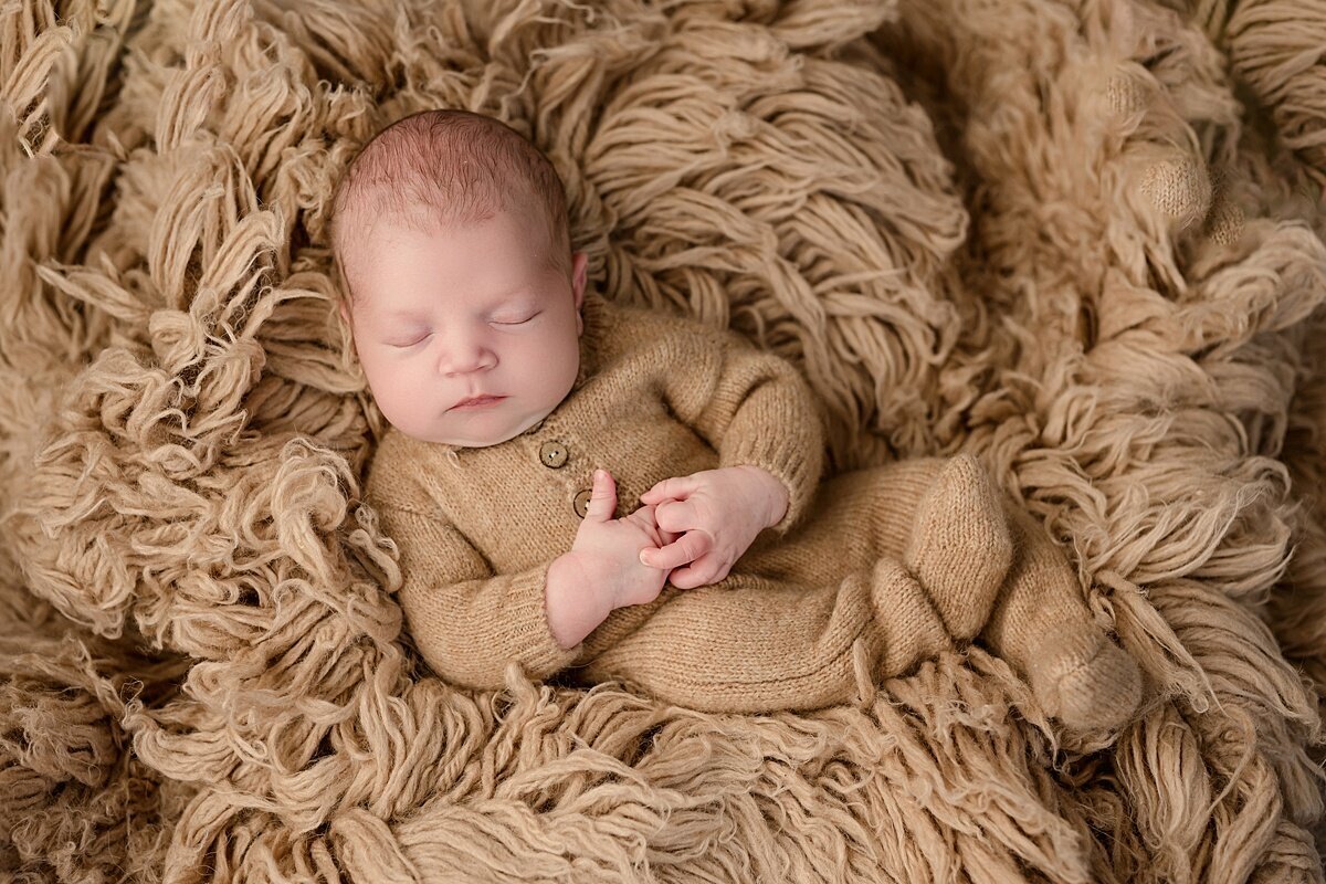 milwaukee newborn photographer