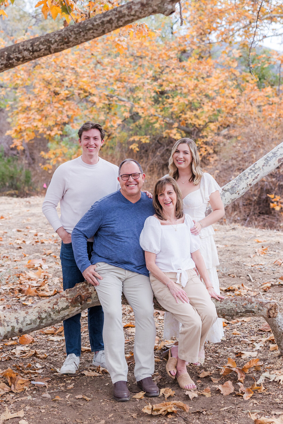 parents with adult children sitting on tree branch