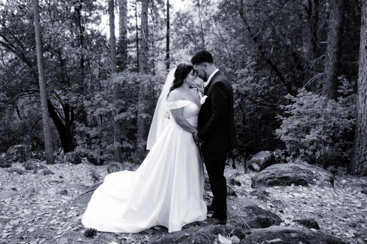 Chateau Grenouille romantic bride and groom