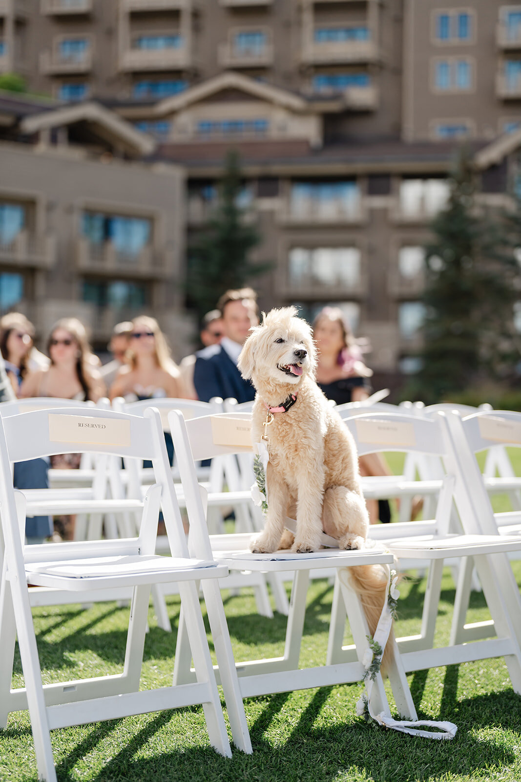 montage-deer-valley-summer-park-city-utah-wedding-logan-walker-425L-1022