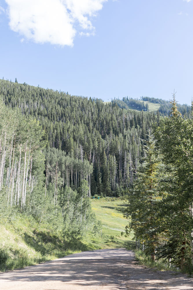ArianaNicolePhotography_Beaver_Creek_Lodge-0056