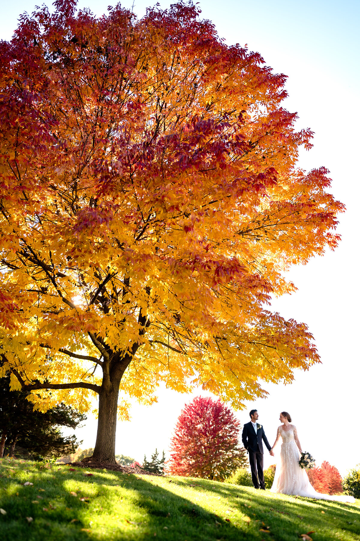 Bride and groom hold hands by fall tree at Independence Grove in Libertyville, IL