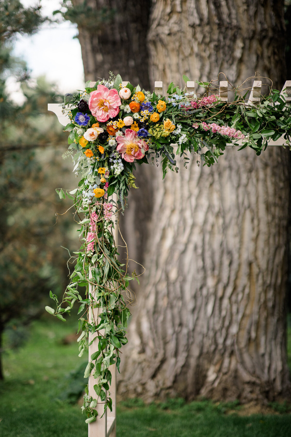 Boulder-flower-farm-Wedding-photographer-23