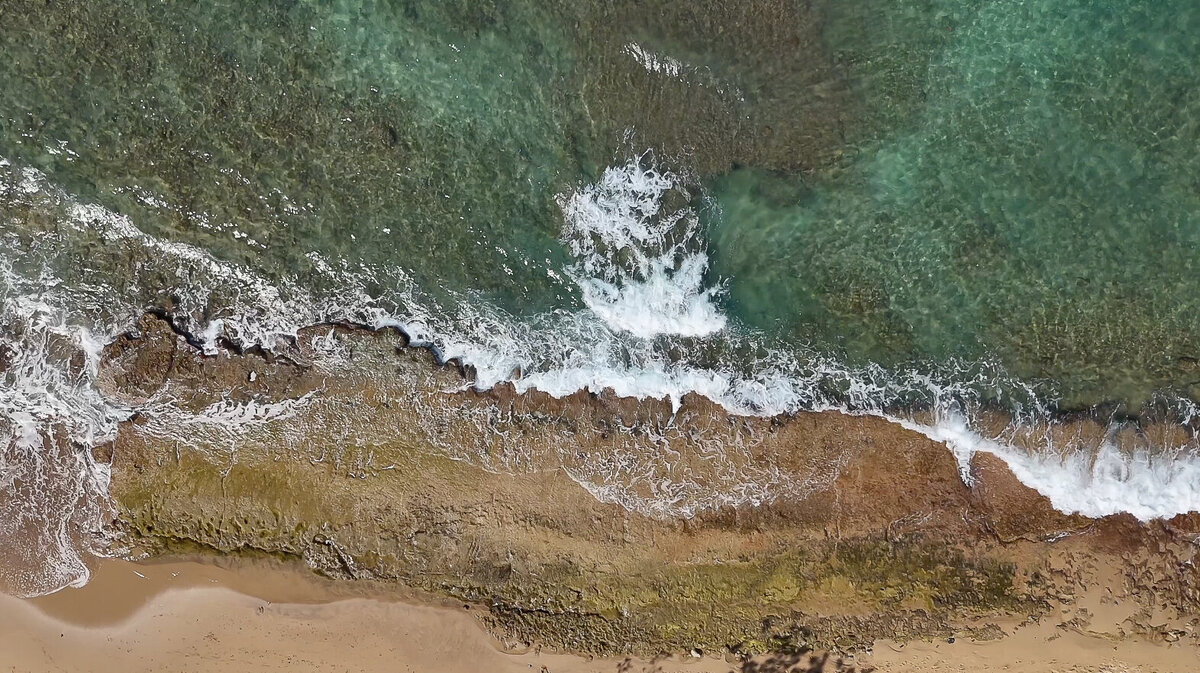 Carlie & Tristan Film Page Image 5