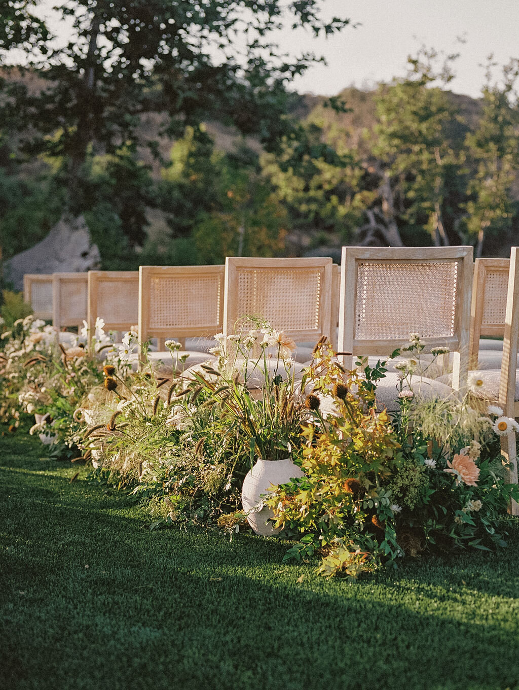 MonserateWinery-film-30