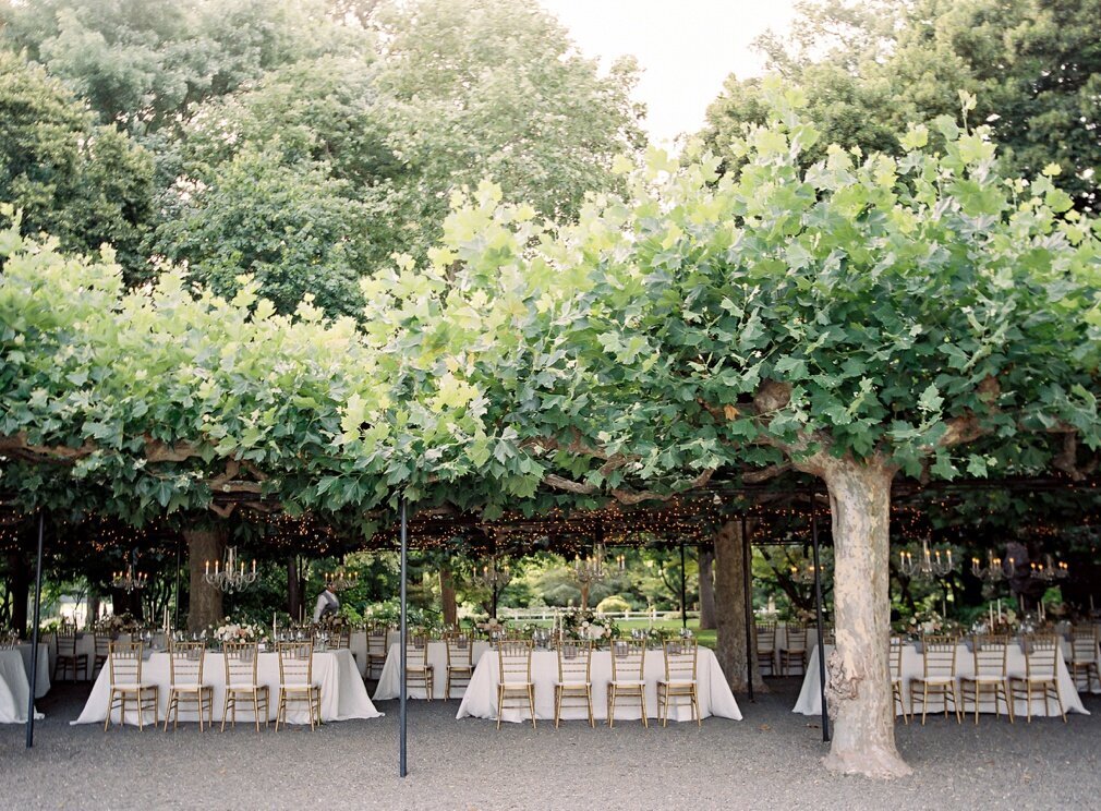 Vicki_Grafton_Photography_beaulieu_gardens fine art film luxury napa wedding Bustle Event 77