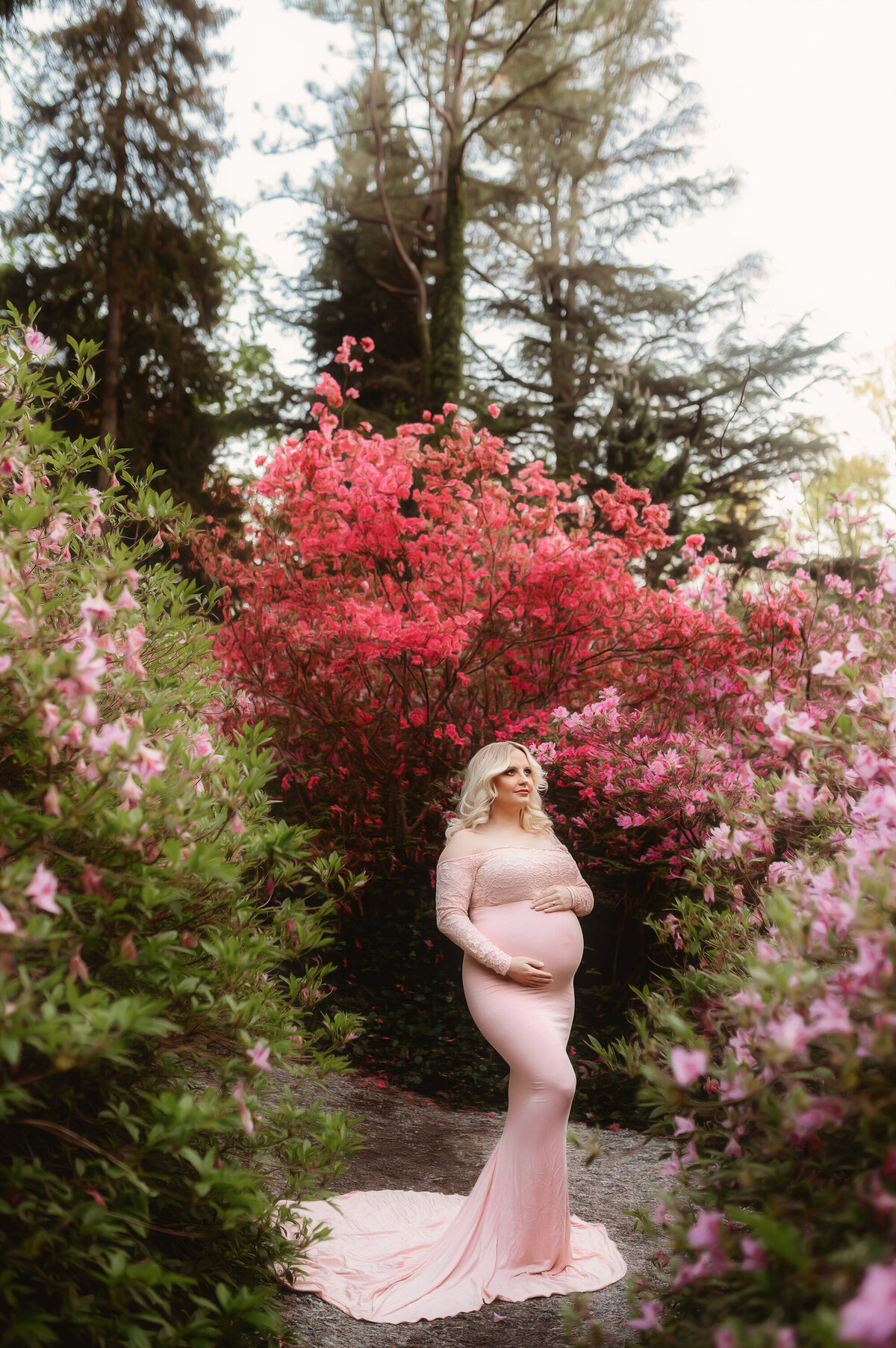 Pregnant woman poses for Maternity Photos at Biltmore in Asheville, NC.