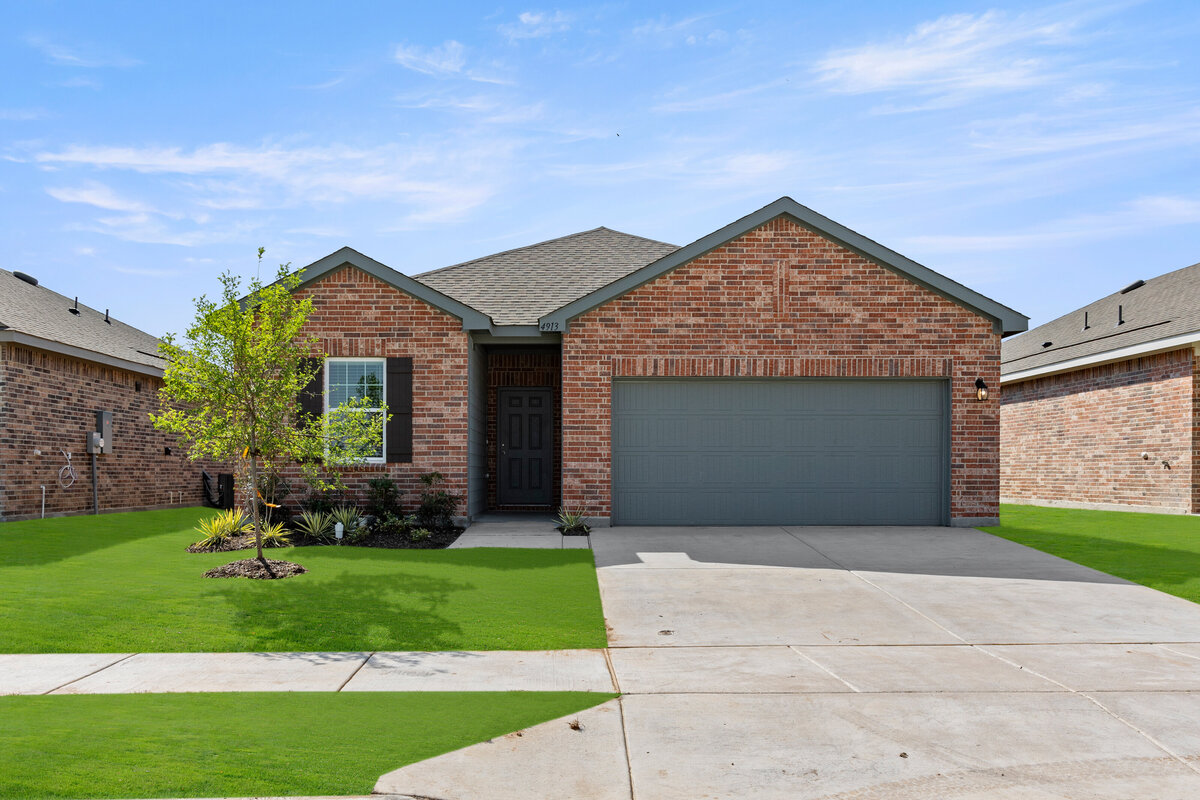 4913 Gadwall- Front-1