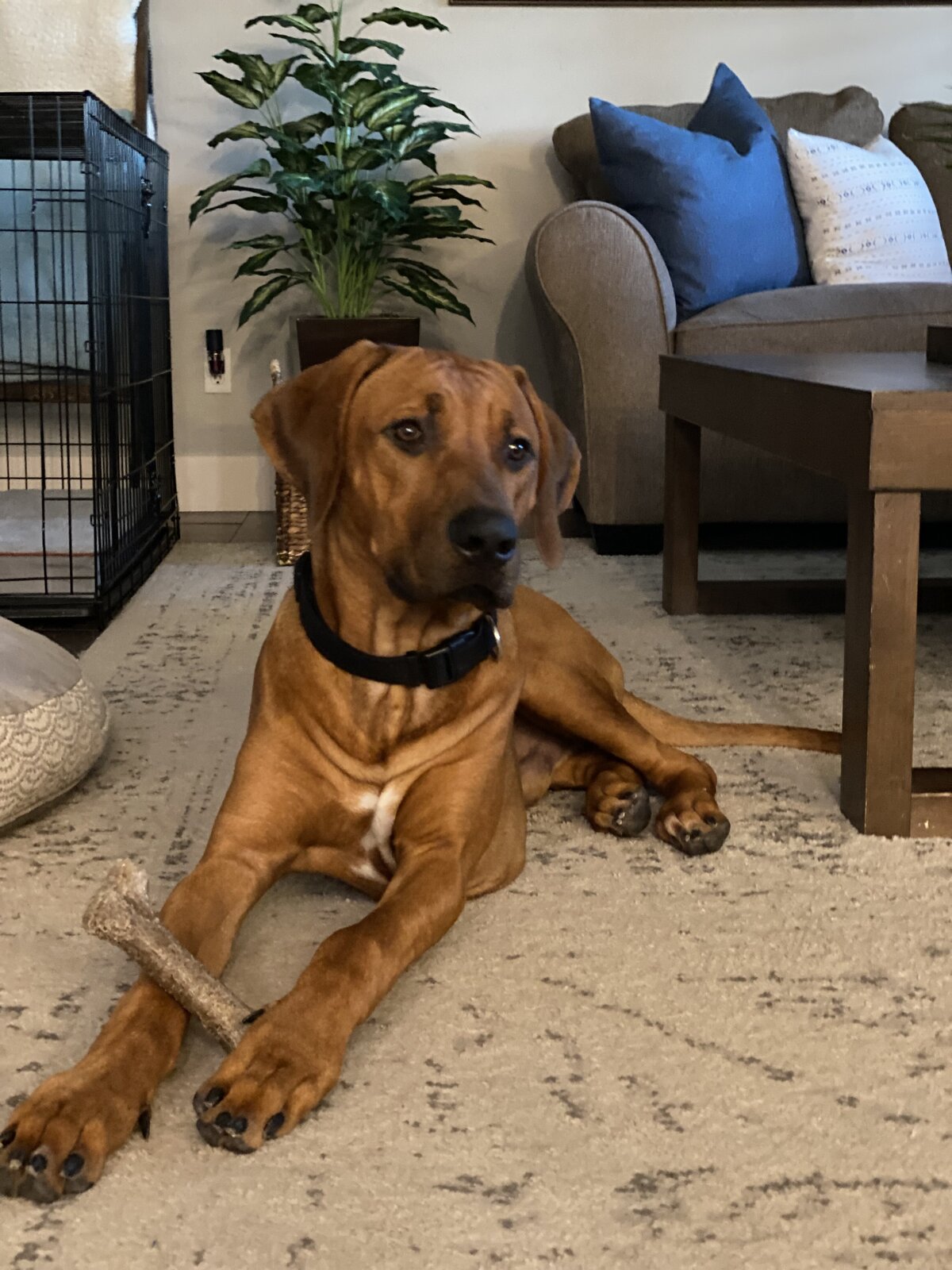 7993A92C-6E94-4E1A-B2A6-6D29F4107640