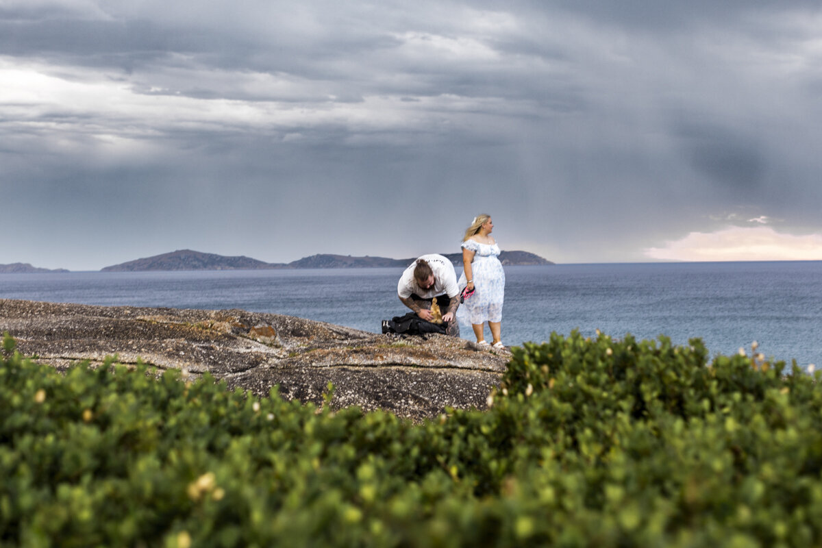 Liminal-Wonderland-Surprisal-Proposal-Engagement002