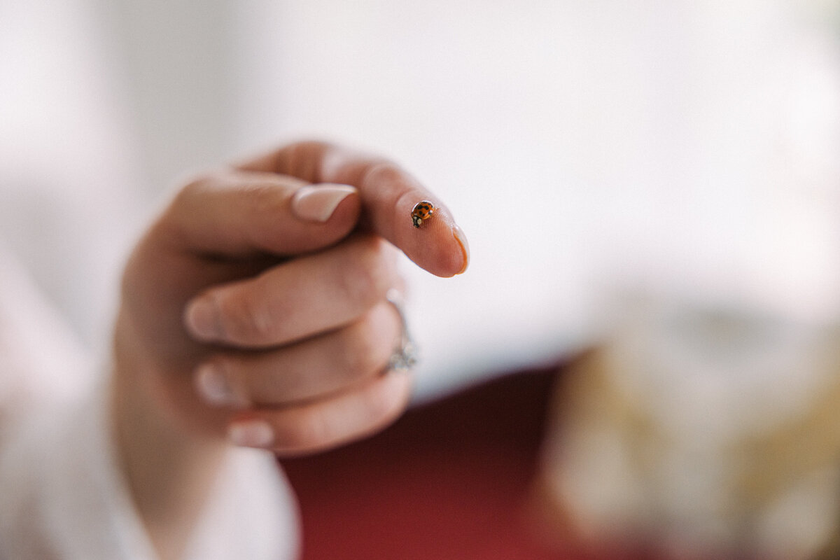 0180 WED Simon 09-14-23