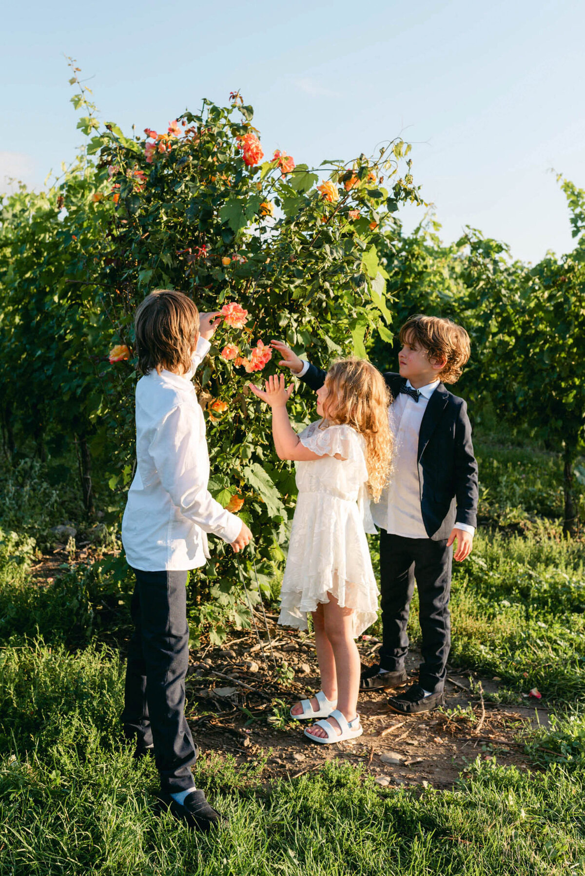 515-Pellar-Estates-Niagara-On-The-Lake-Ontario-Canada-Stephanie-Mitch-Marner-Wedding-55