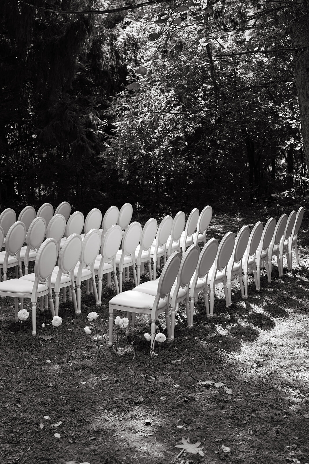 Danielle-Aisling_Ottawa_Wedding_CB-47