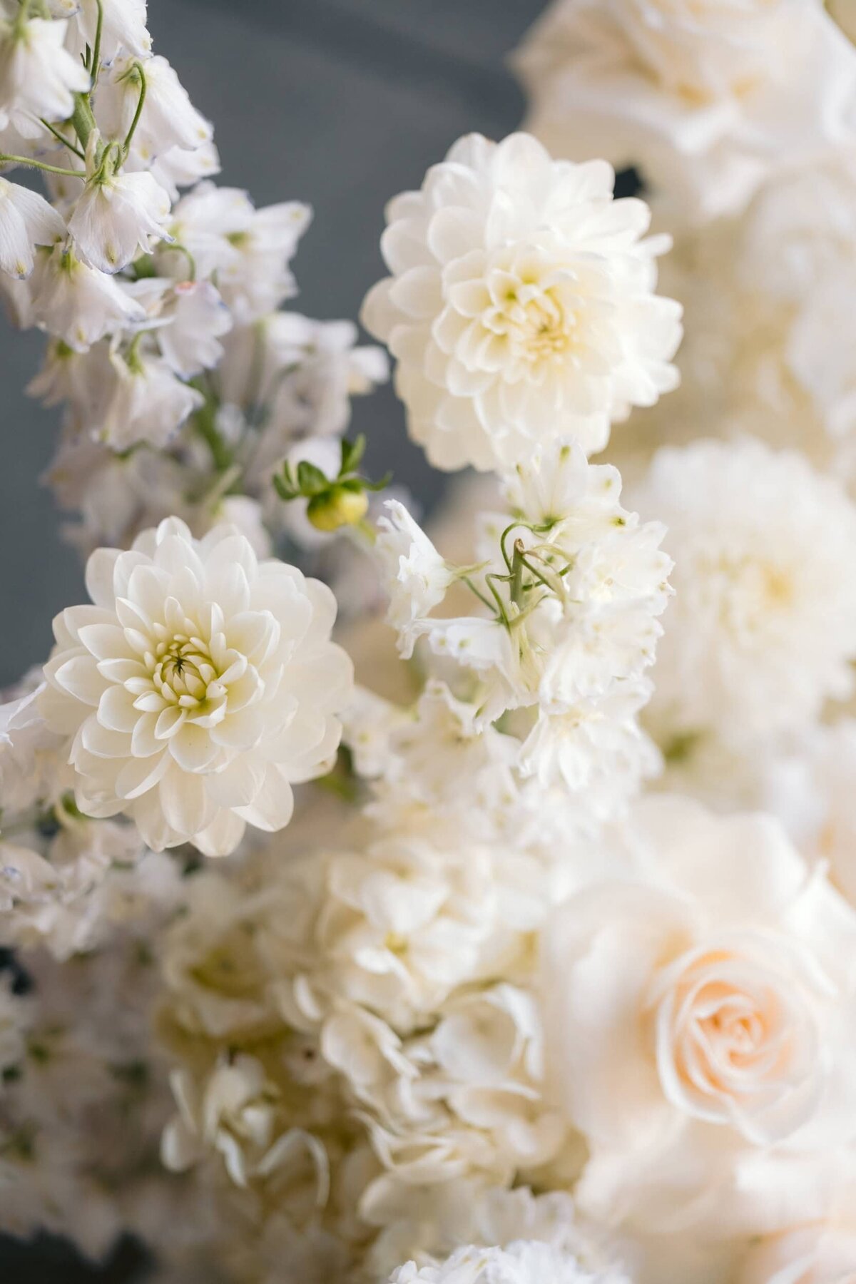 houston wedding photographers-48