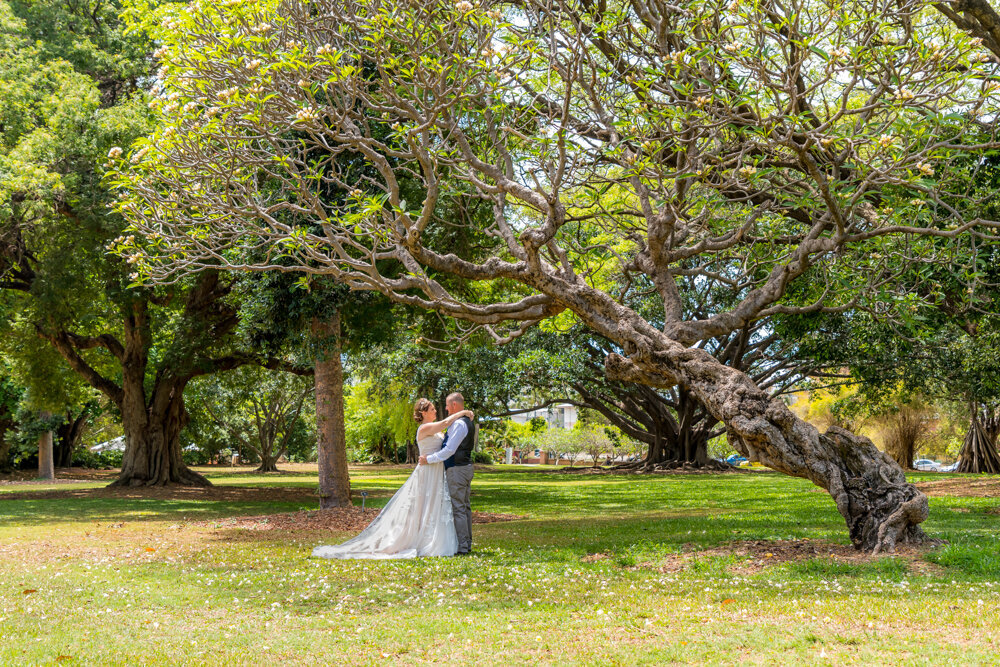 bride and groom embracing under a decorative tree in a botanical garden - Townsville Wedding Photography by Jamie Simmons