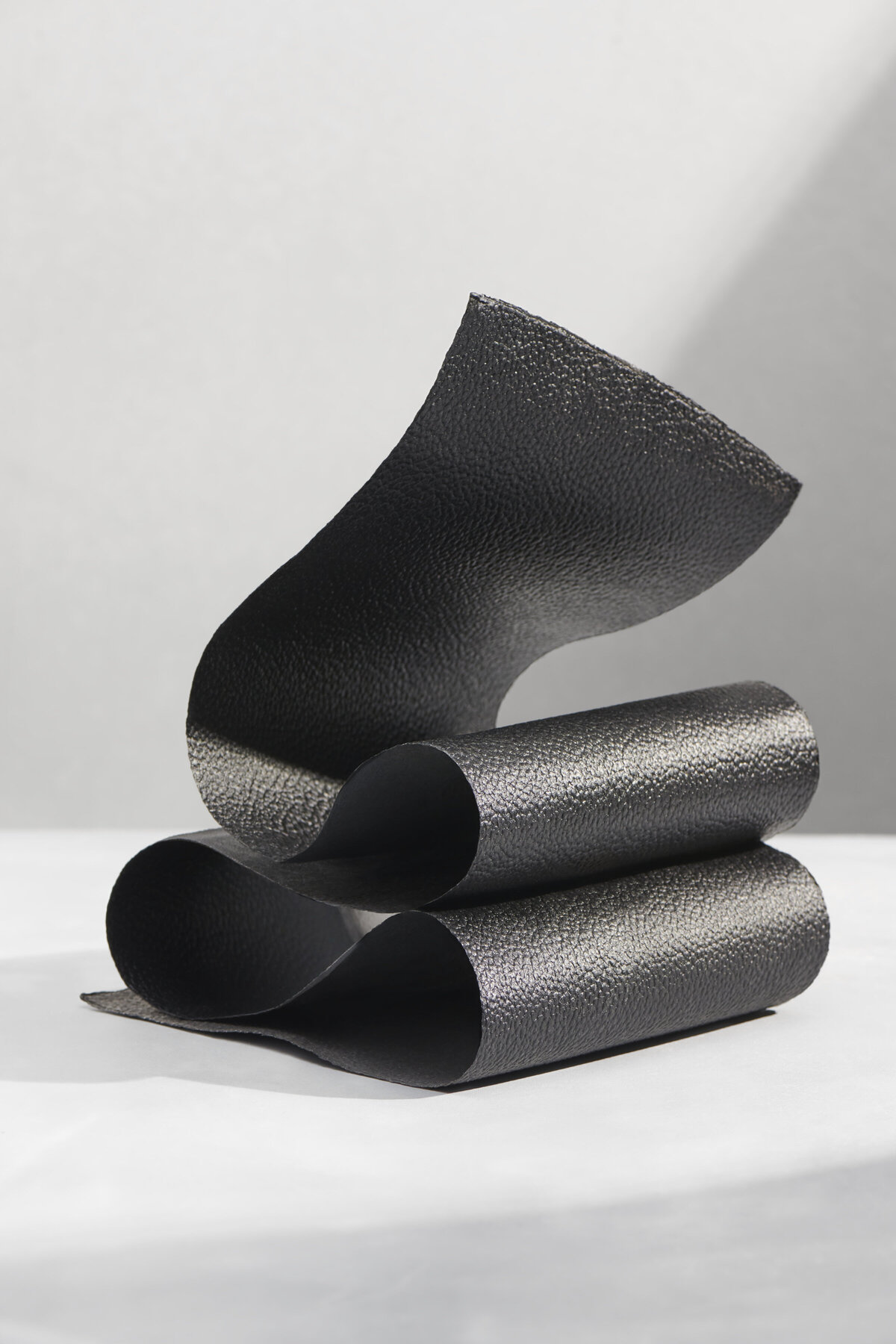 mylo_folds_15_000195_R2_low-contast