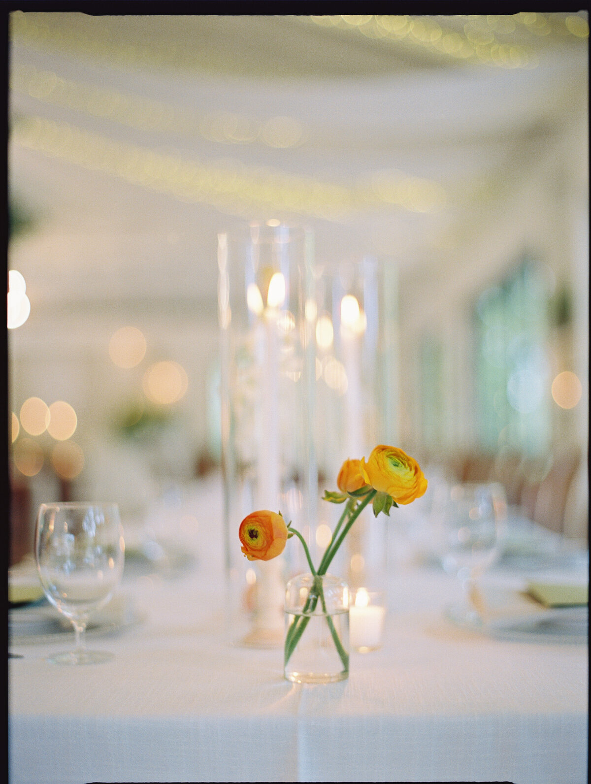 LexieVaccaroPhotography-Josie&BrianWeddingPreviews-75