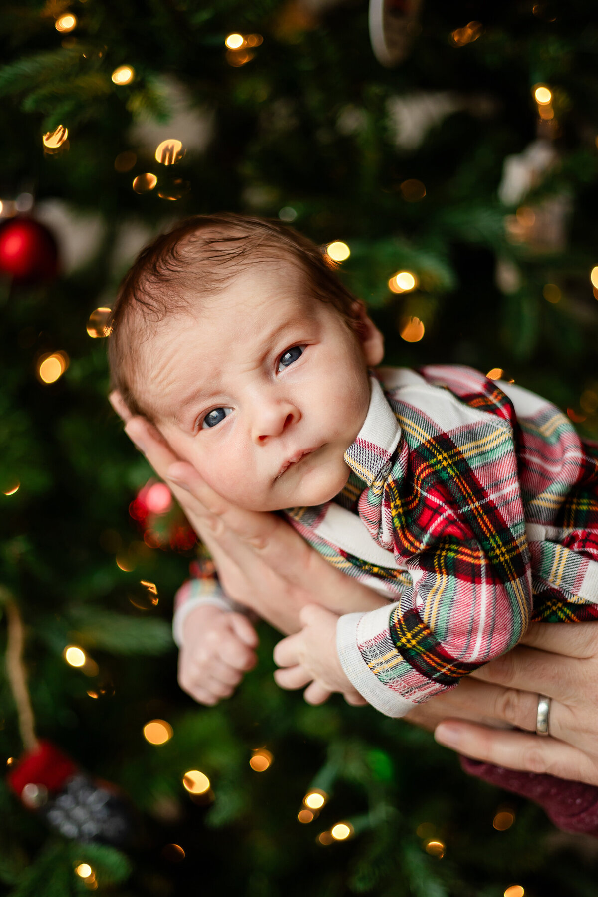 Holiday Minneapolis Newborn Photography