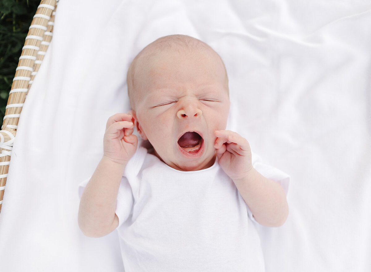 Baby Bentley_531_websize