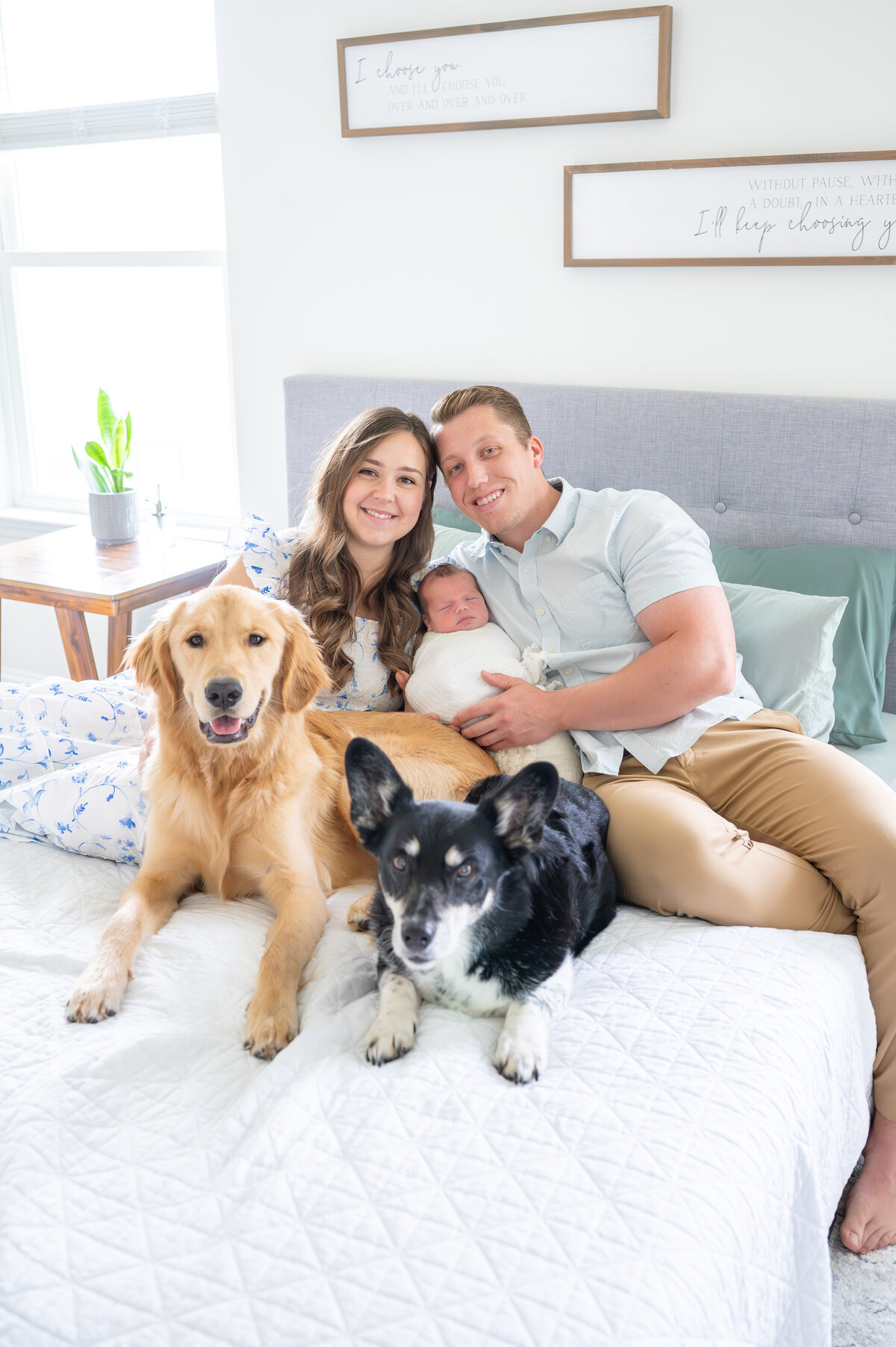 Apex Newborn Photographer