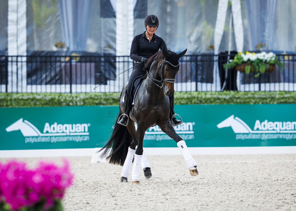 LPEquestrian_AGDF52025_SarahSchooling-10 copy