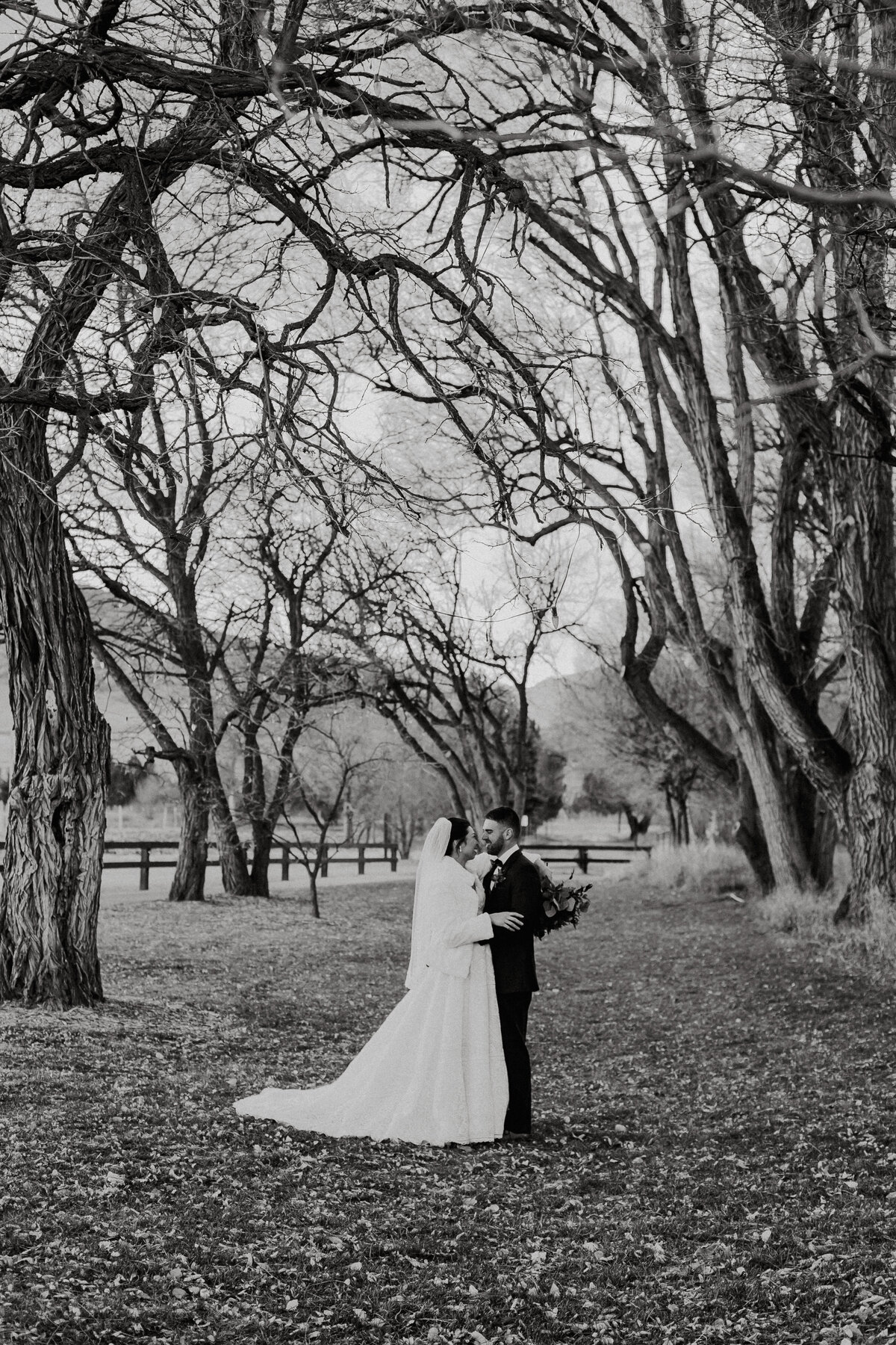 Wedding Photography- Alison & Jacob- Chatifeld Farms- Littleton, CO-306