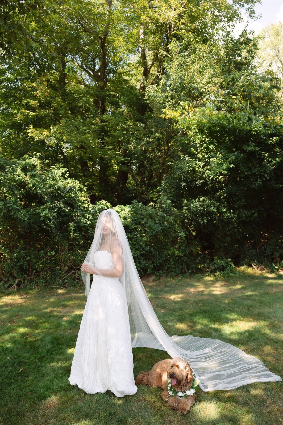 Caroline & Louis Wedding Previews-33