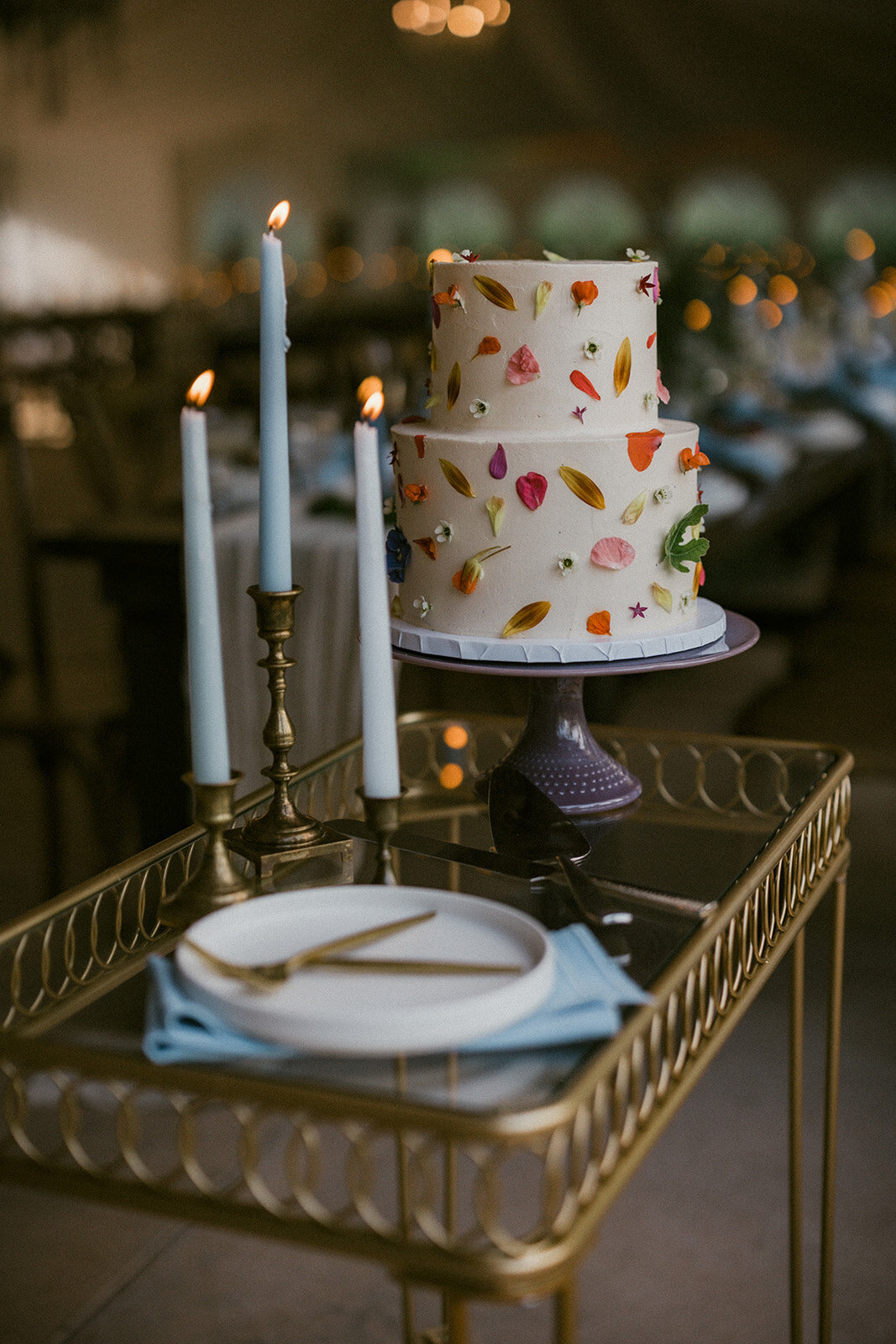 historicshadylanewedding-1460