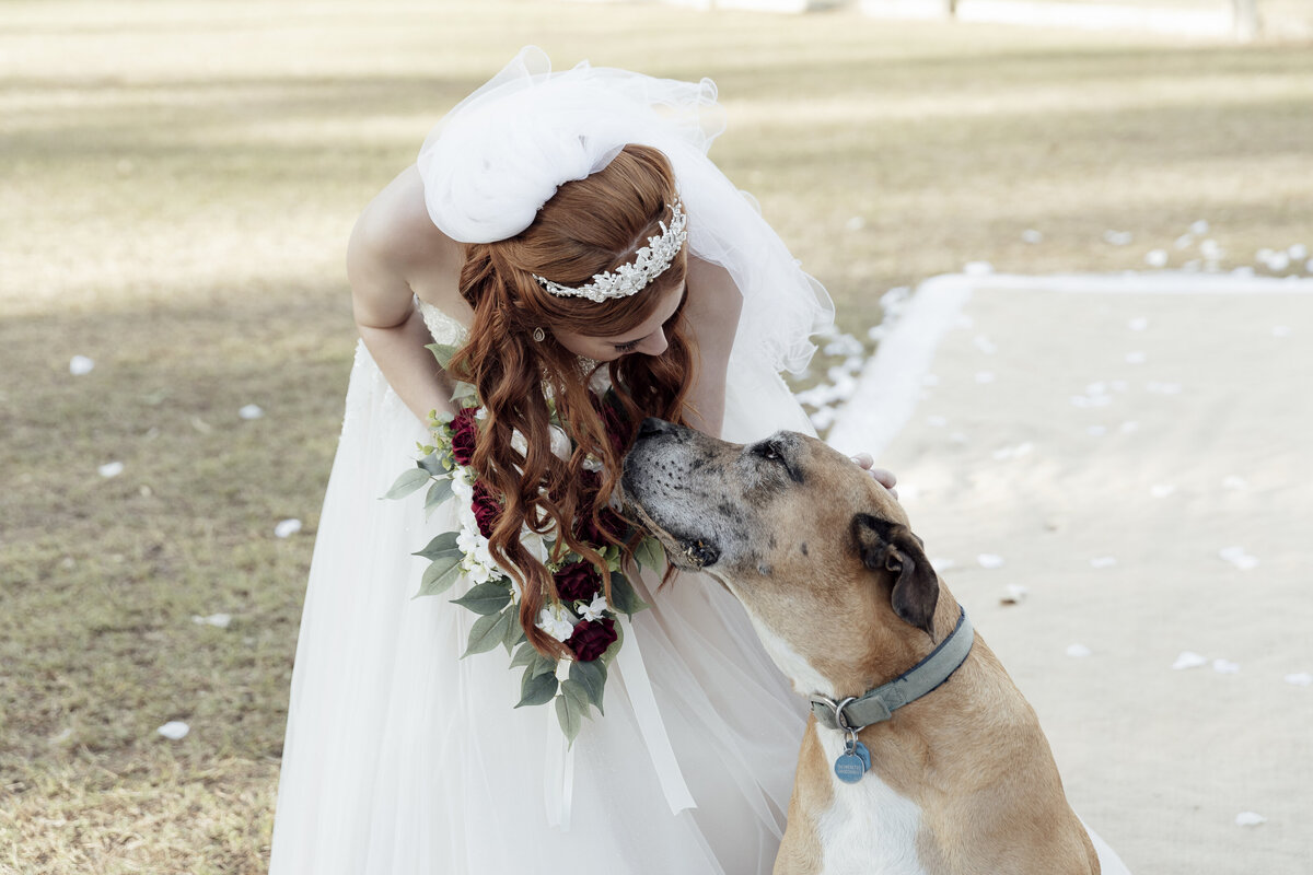 Bride with pet dog