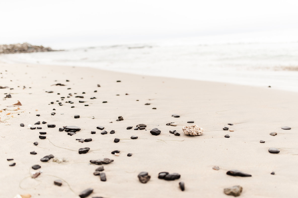 southern california-1