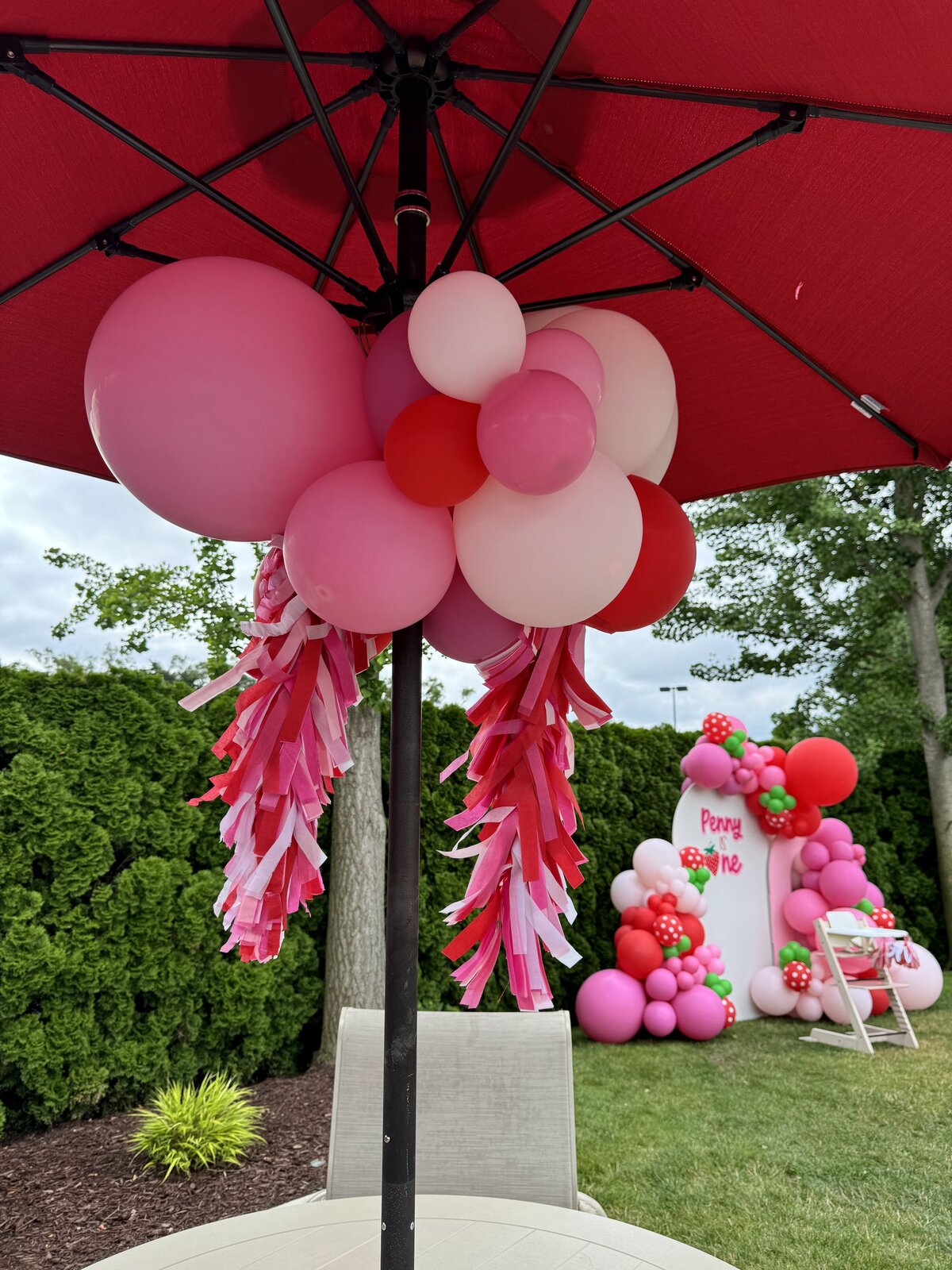 michigan-balloons49
