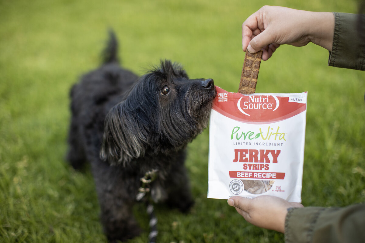 dog treat photographer