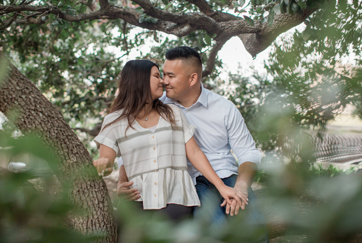 An engaged couple embrace while sitting in the boughs of an oak tree near Miller Outdoor Theatre