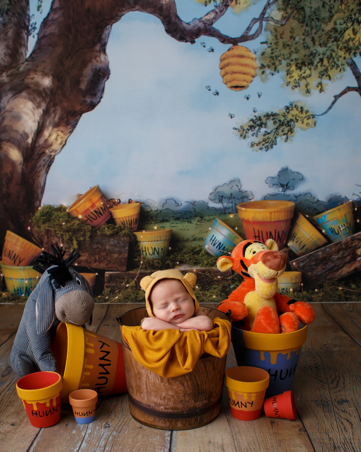 Photo of a newborn in a  basket wearing  in a basket wetween a  Winnie the Phoo characters and wearing a knit cap with little bear ears