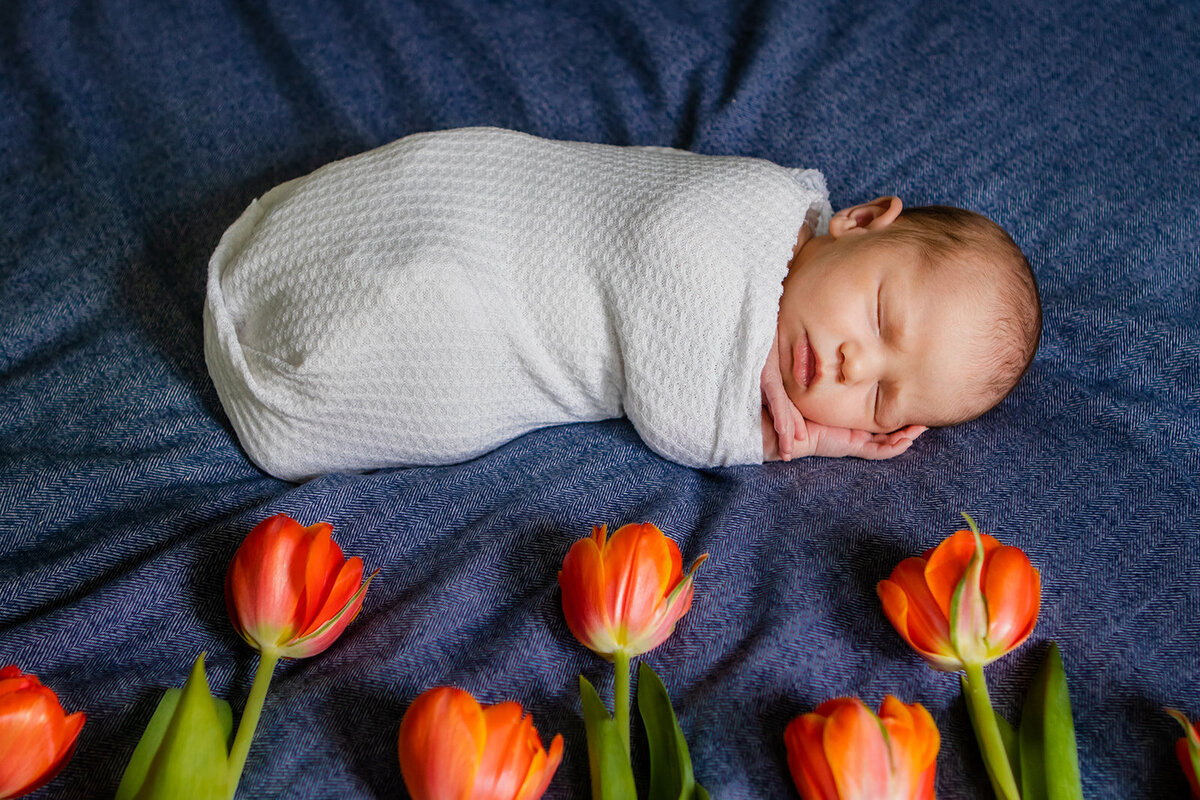 Newborn Baby Photographer