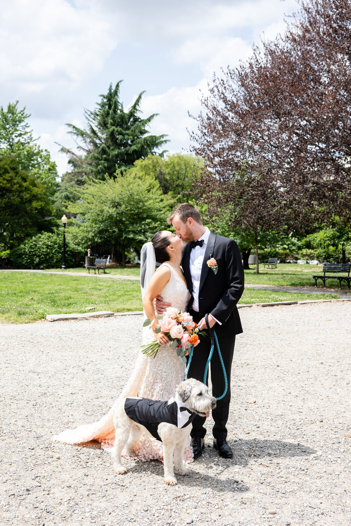 TrepicchioWedding-232