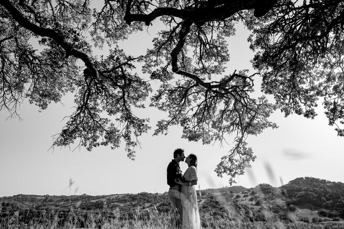 Healdsburg-Engagement-Session16