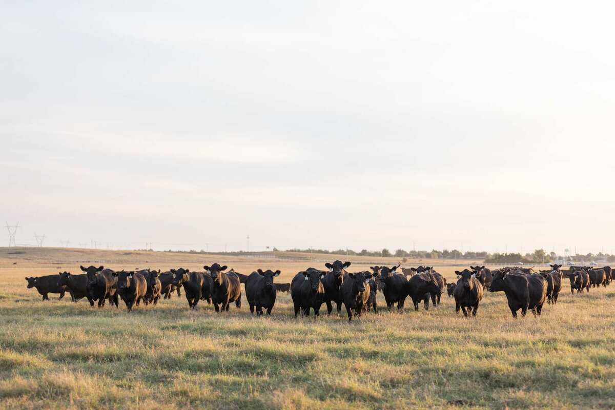 ExpressRanches_202109_WRW_9252