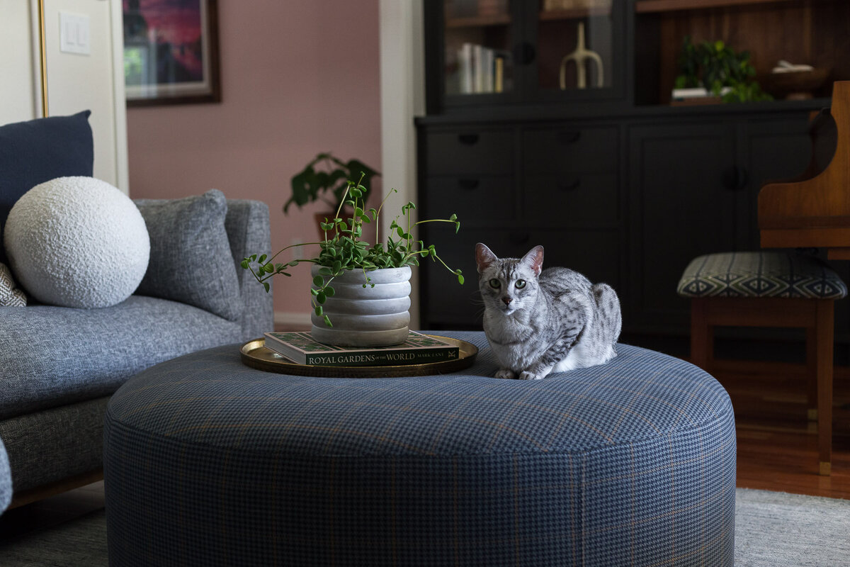 pure-indigo-interior-design-home-renovation-189